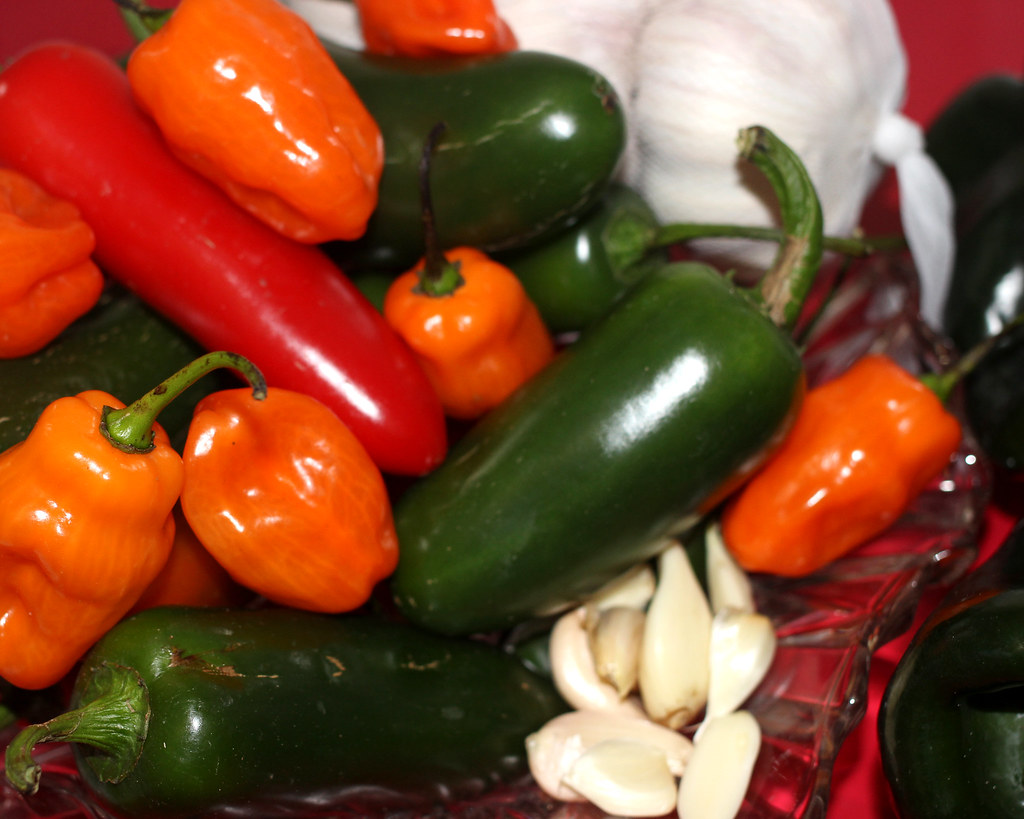 Florida Peppers for Patio Gardening