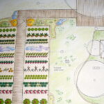 Plan a Patio Garden