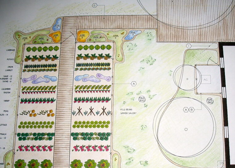 Plan a Patio Garden